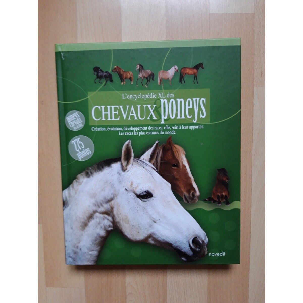 Livre L'encyclopédie XL des chevaux et poney