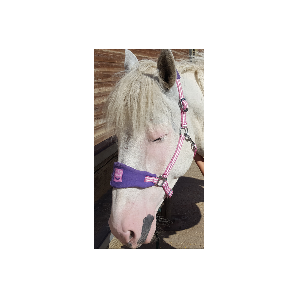 licol taille poney
