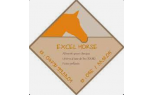Excel Horse