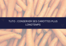 Tuto : conserver ses carottes plus longtemps 🥕
